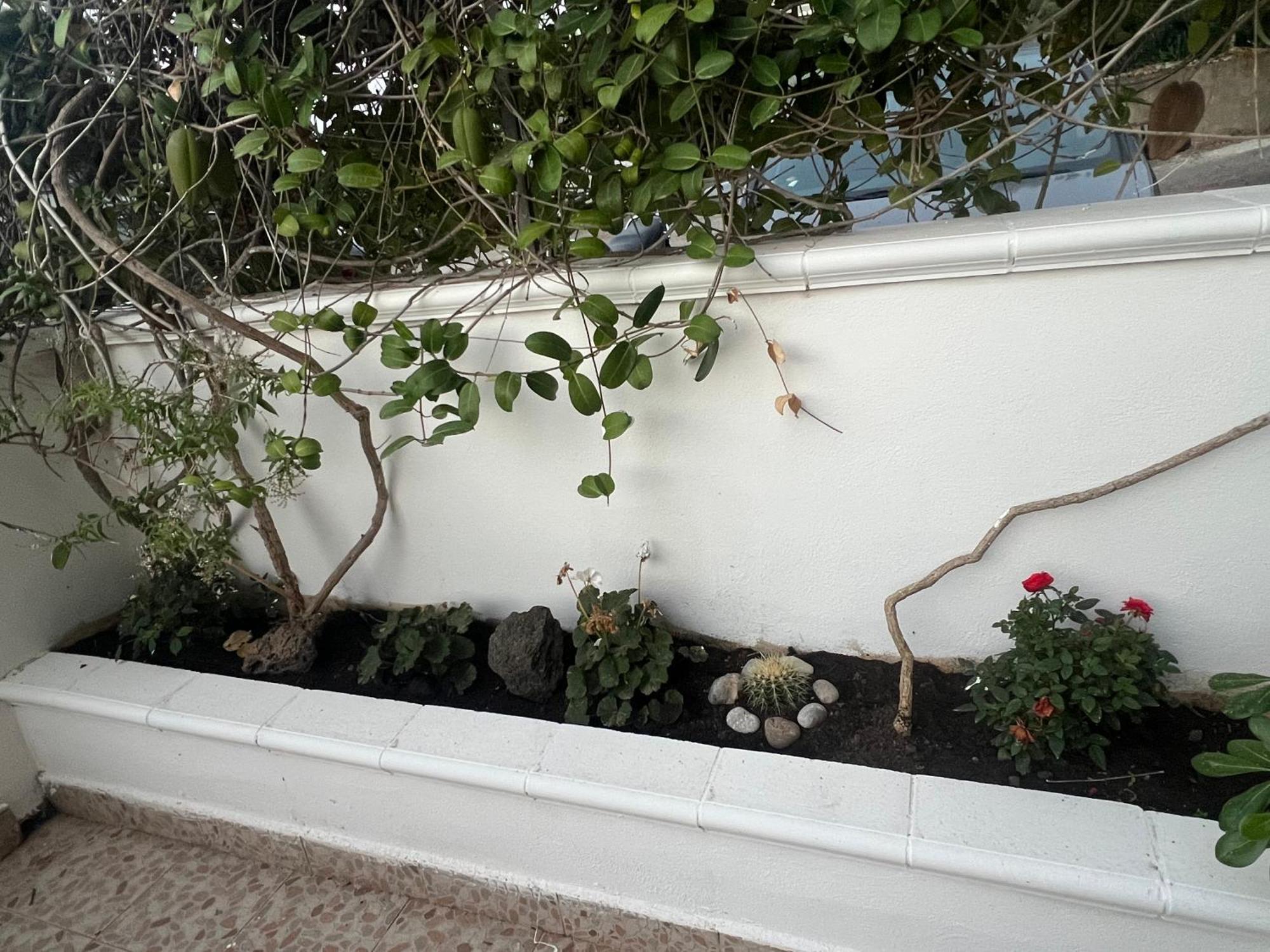 La Casa Dei Ciocio Villa Cefalù Eksteriør billede