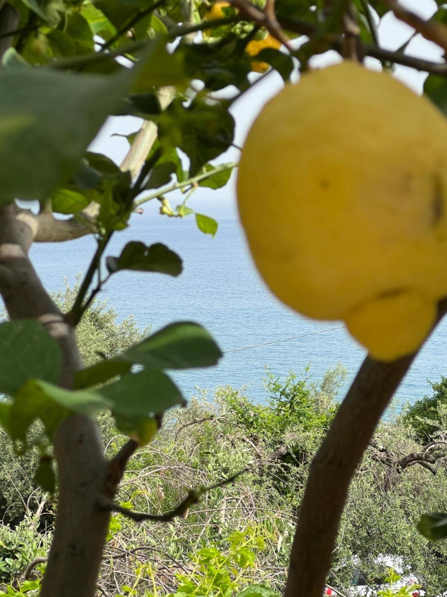 La Casa Dei Ciocio Villa Cefalù Eksteriør billede